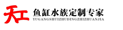 鱼缸定做厂家|海洋鱼缸定做|郑州大型鱼缸定做价格|郑州水族箱|郑州龙鱼缸定制-天工水族